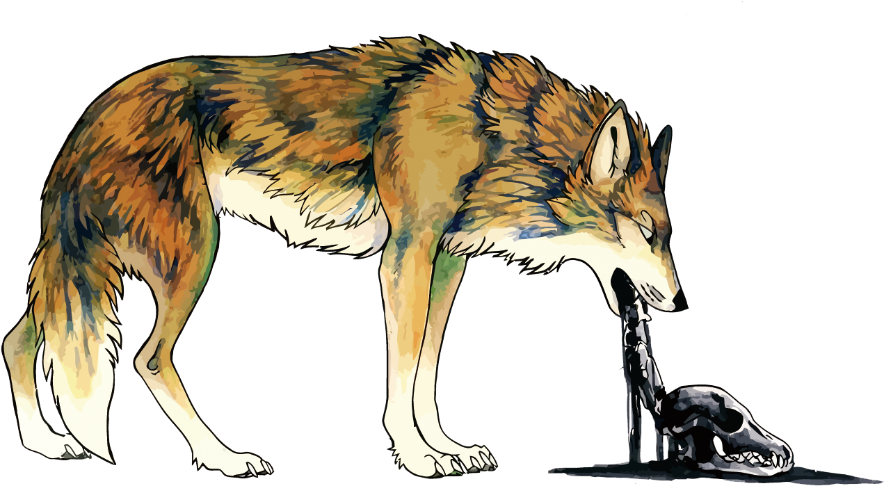 Wolf Vomiting Illustration PNG