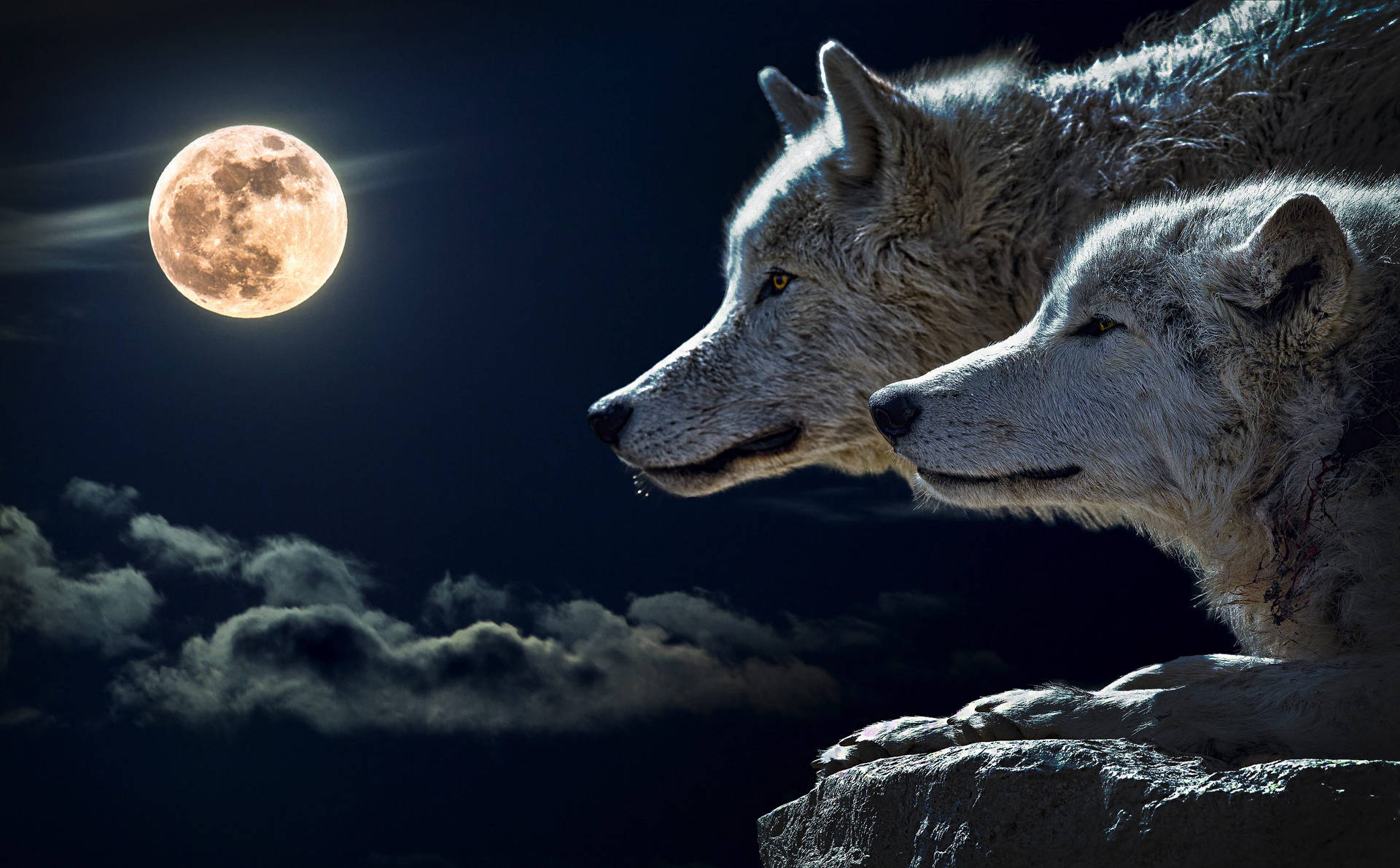 Ulve Med Månen Skrivebord Tapet: En løve med månen tapet, der vil give dit skrivebord liv. Wallpaper