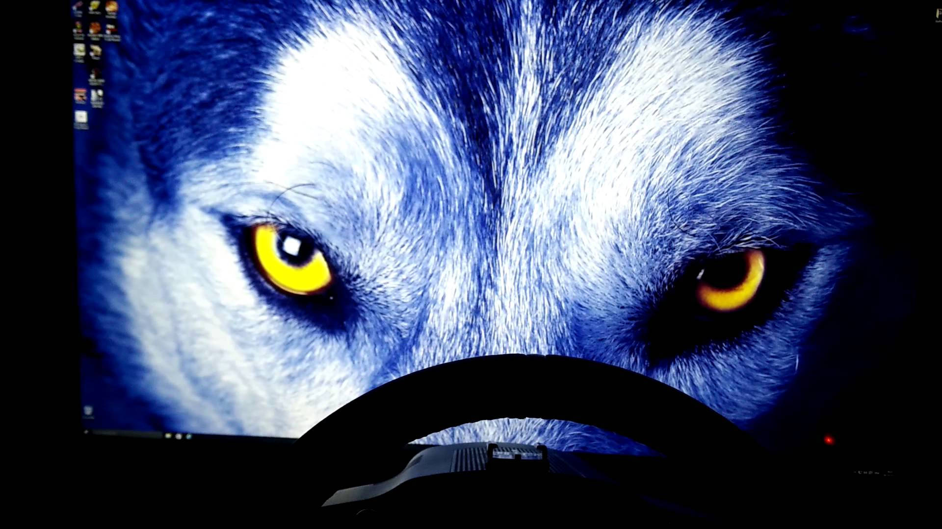 Wolf With Yellow Eyes Wallpaper