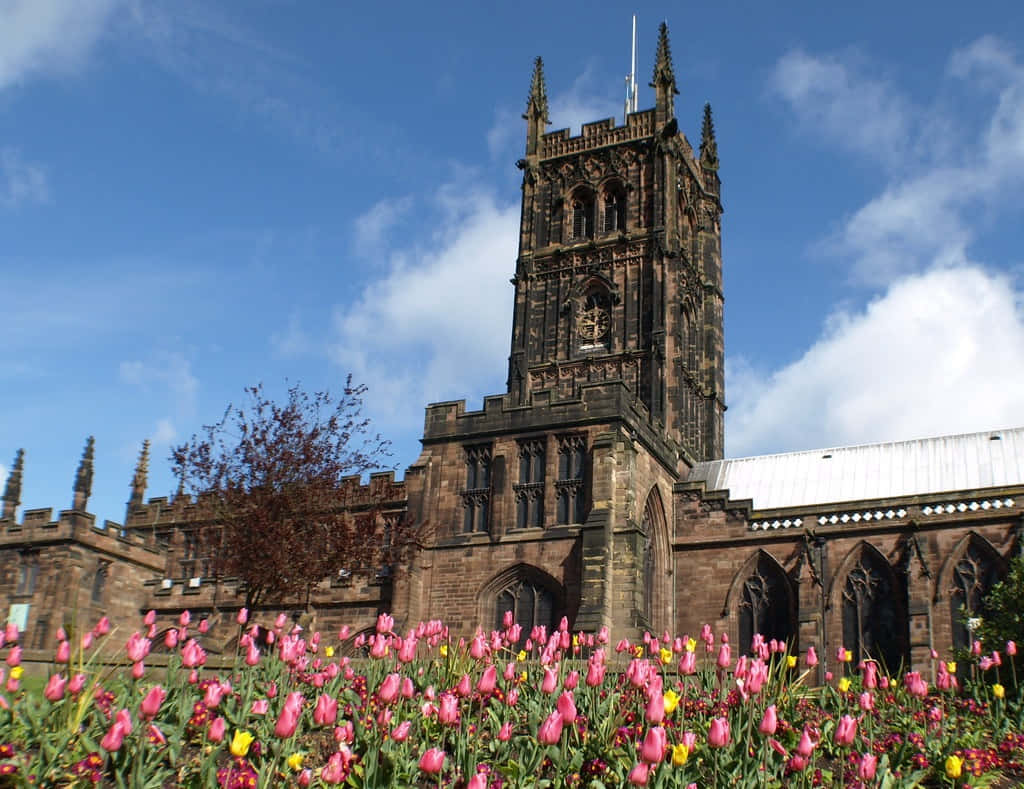 Gereja Wolverhampton Dan Tulip Wallpaper