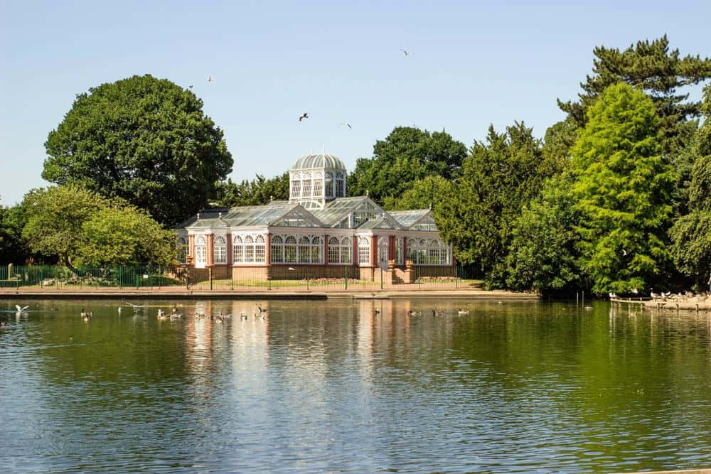 Vue Du Lac Du Conservatoire Du Parc De Wolverhampton Fond d'écran