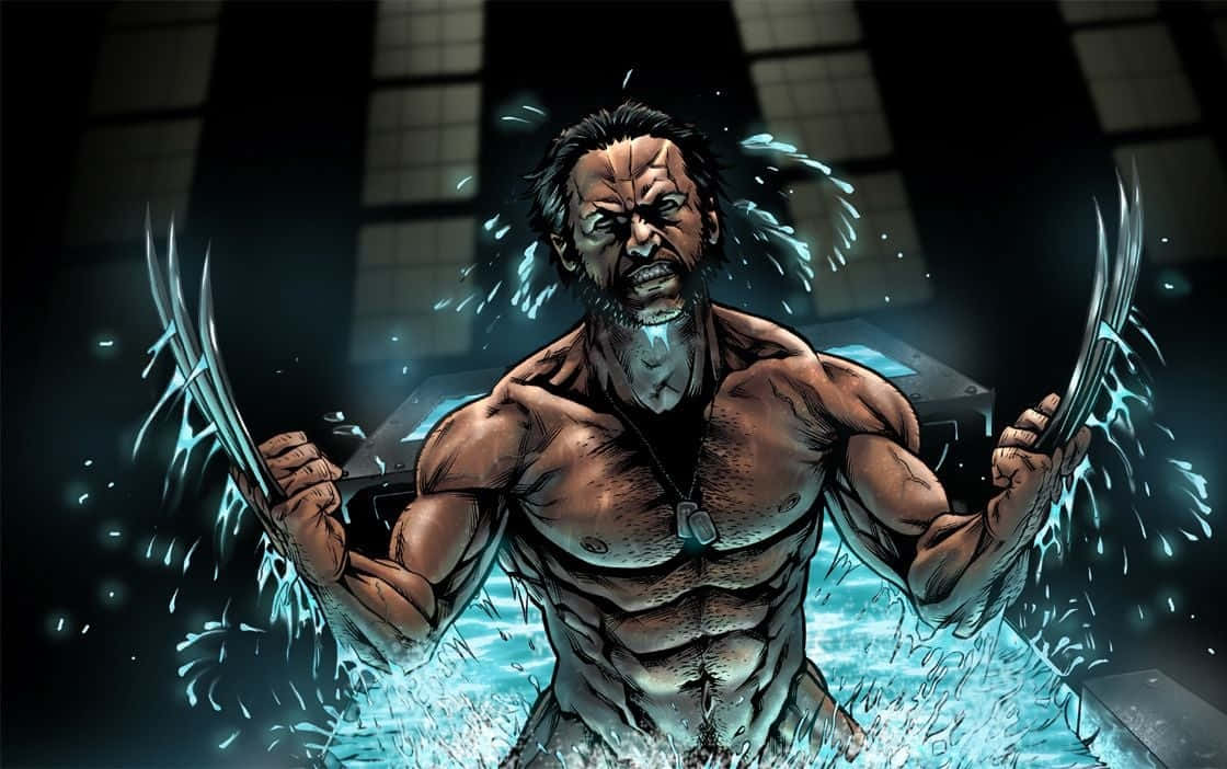 Wolverineder Superheld Der X-men