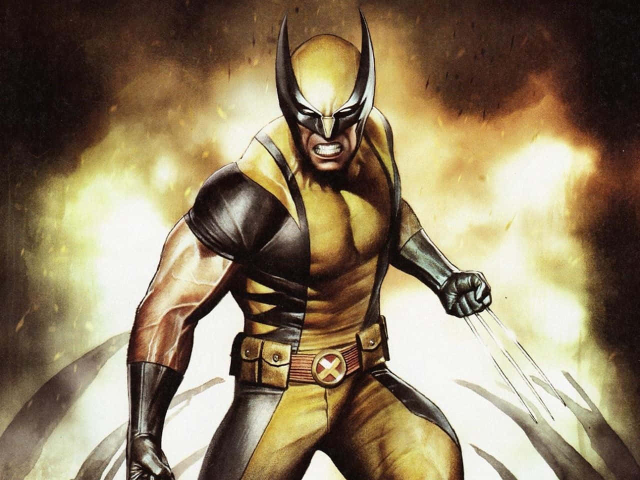 Wolverinein Aktion