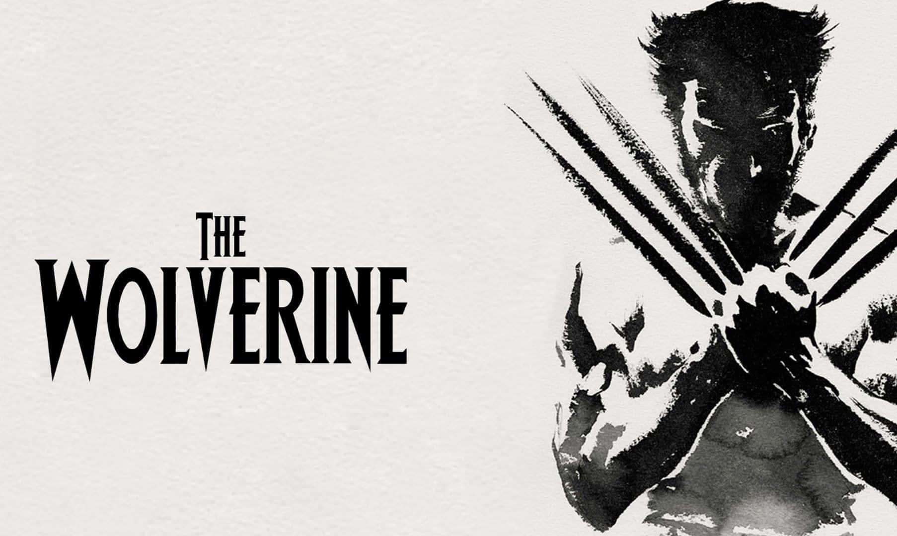 Wolverinebereit Für Den Kampf