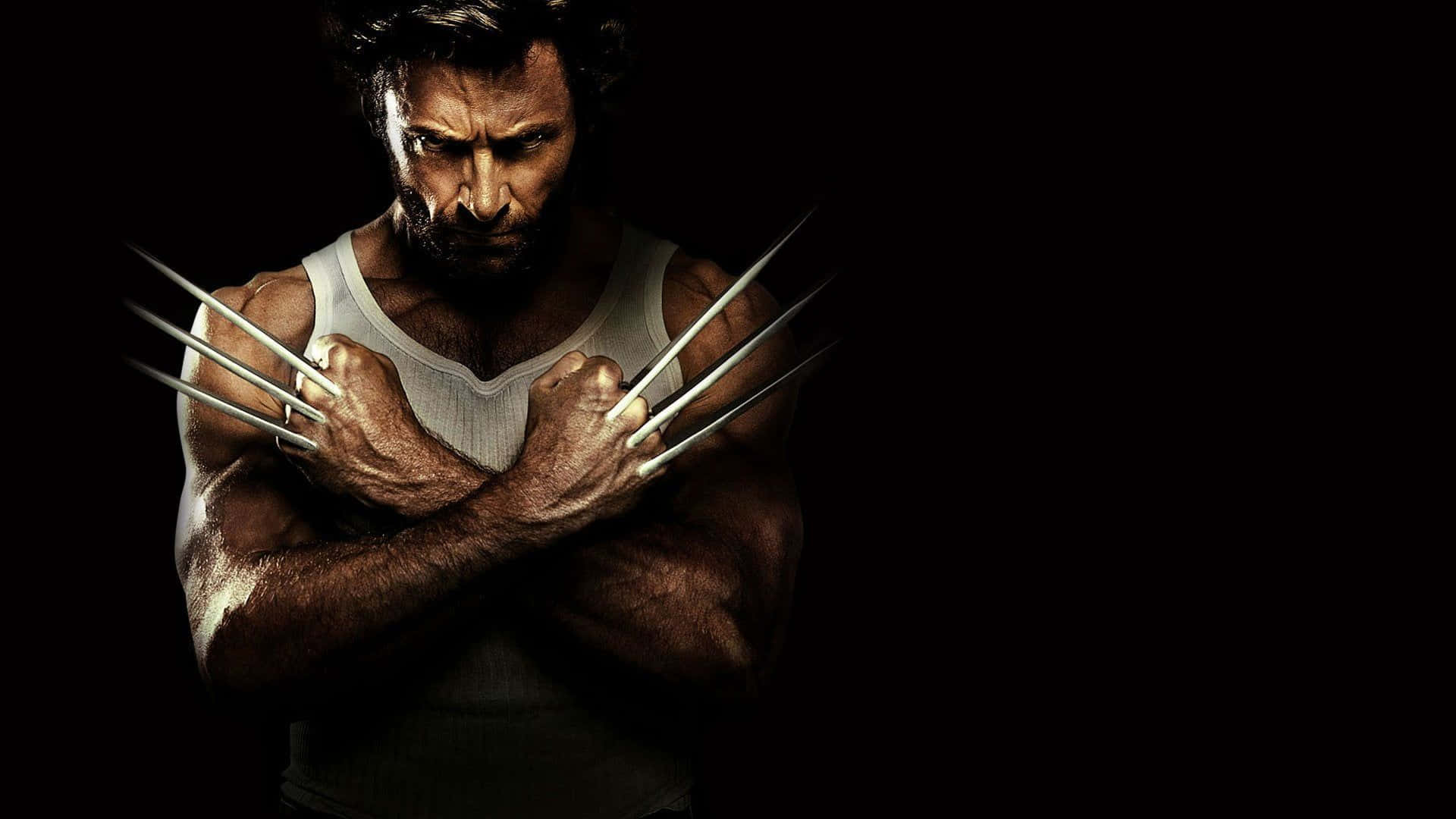 Wolverine emerging from the shadows