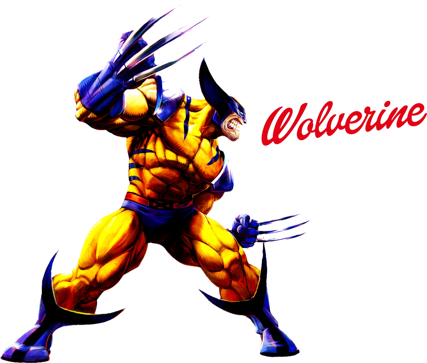 Wolverine Action Pose PNG