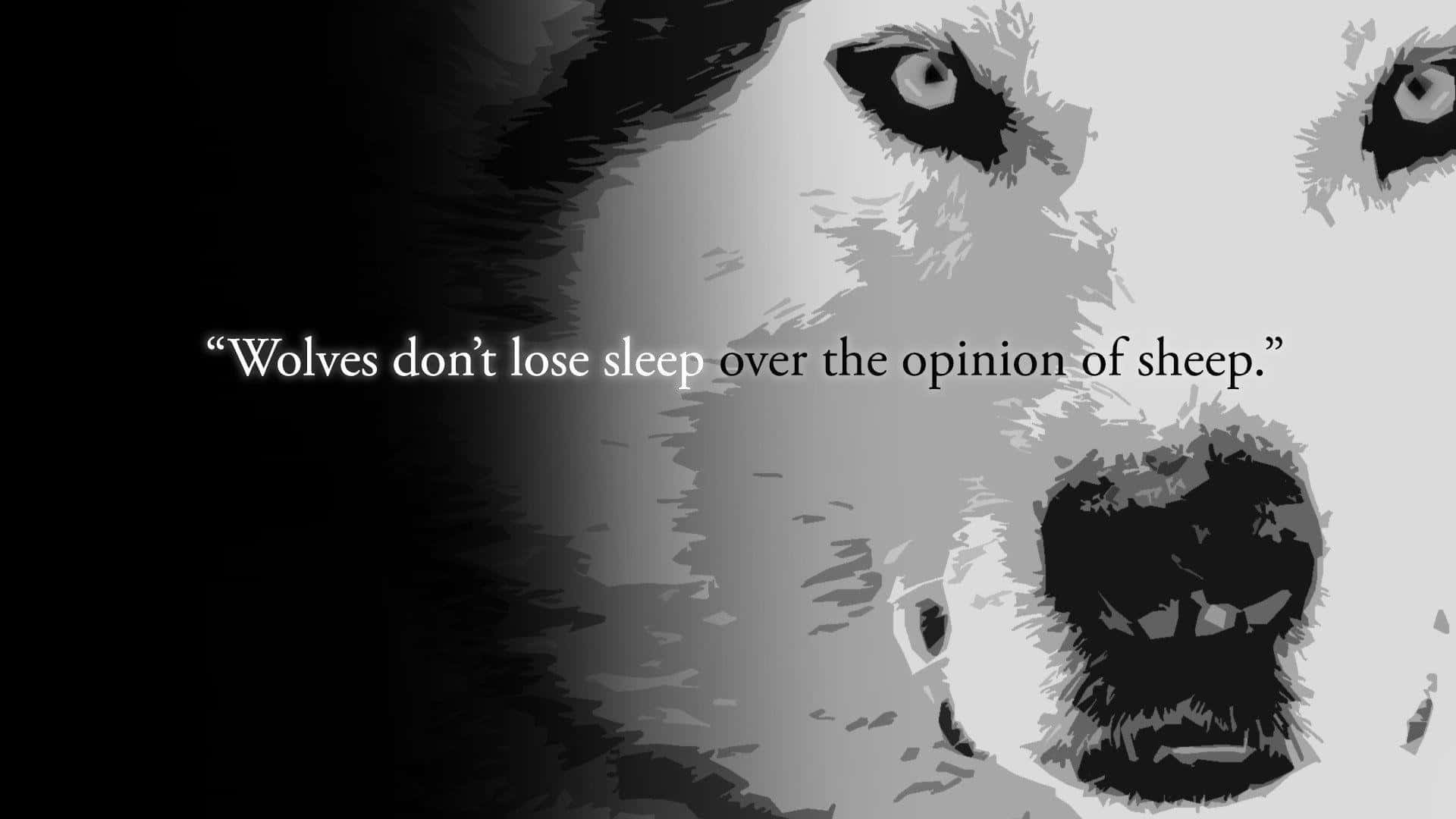 Wolves Opinionof Sheep Quote Wallpaper