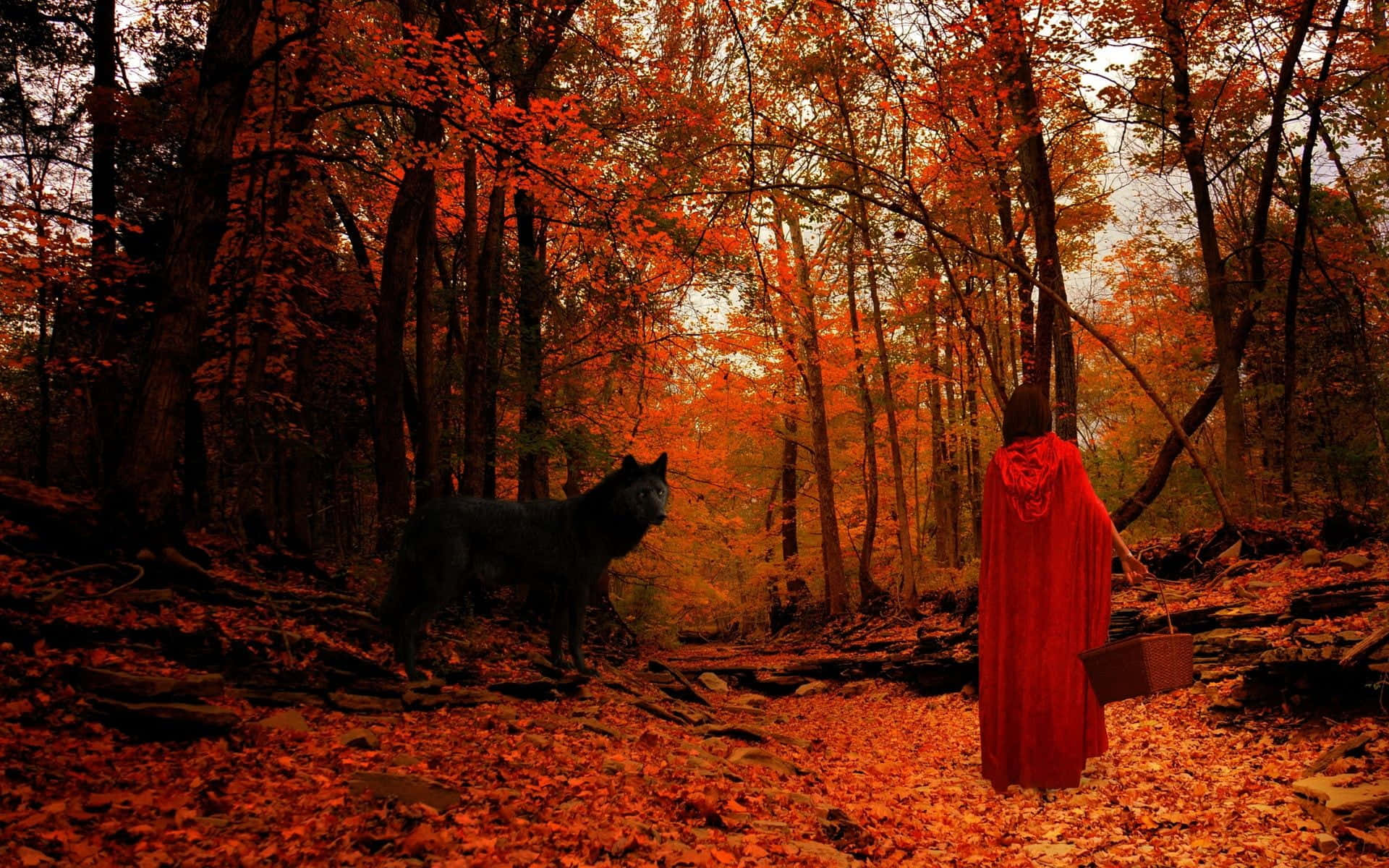 Rød dame med ulve i efterårsskoven billed tapet