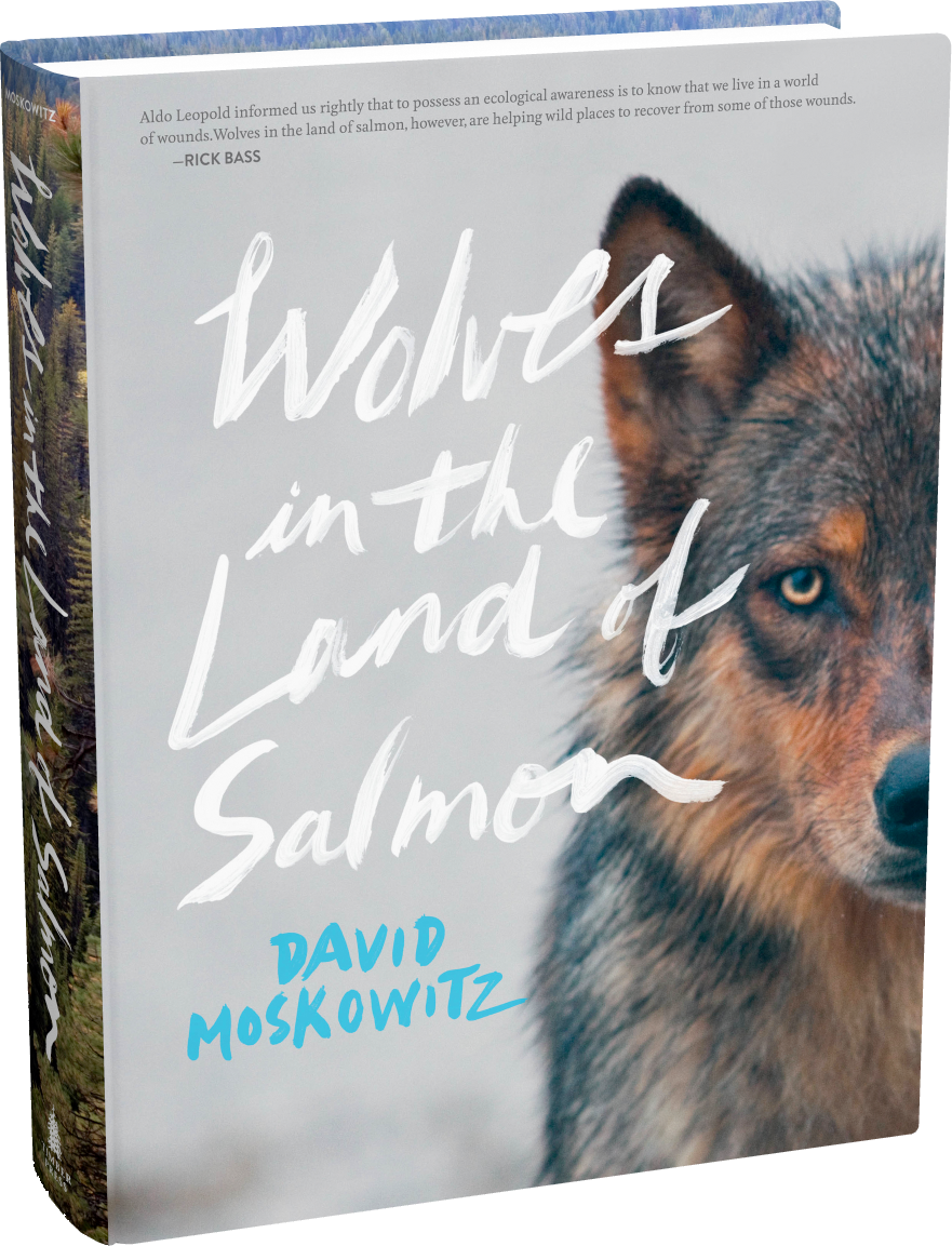 Wolvesinthe Landof Salmon Book Cover PNG