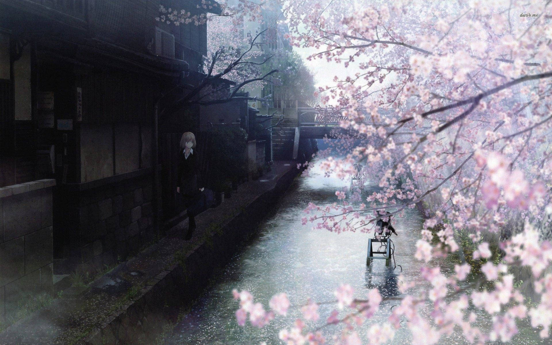 Mujery Cerezos En Flor, Anime Para Pc. Fondo de pantalla
