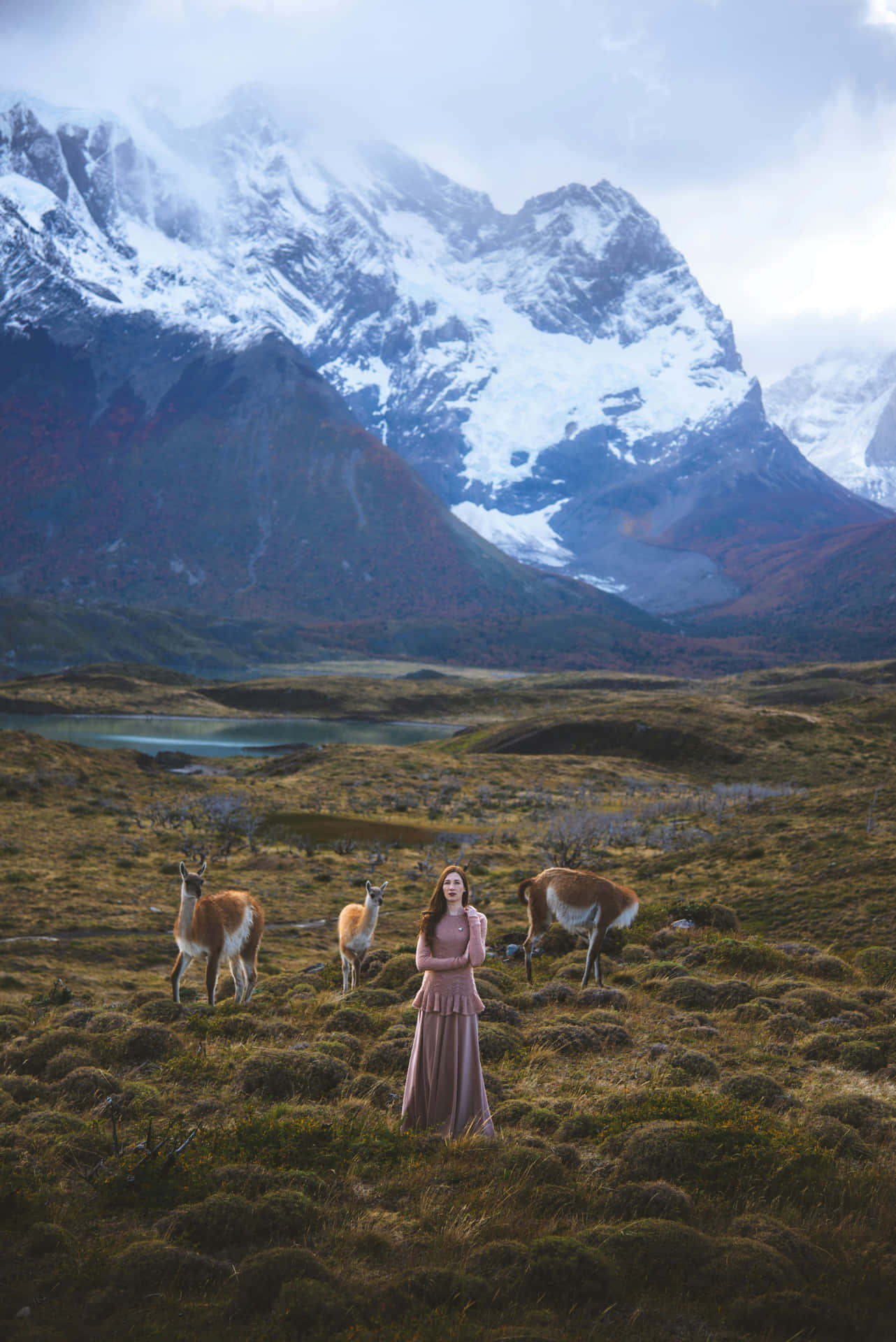 Woman_and_ Guanacos_in_ Mountainous_ Landscape Wallpaper