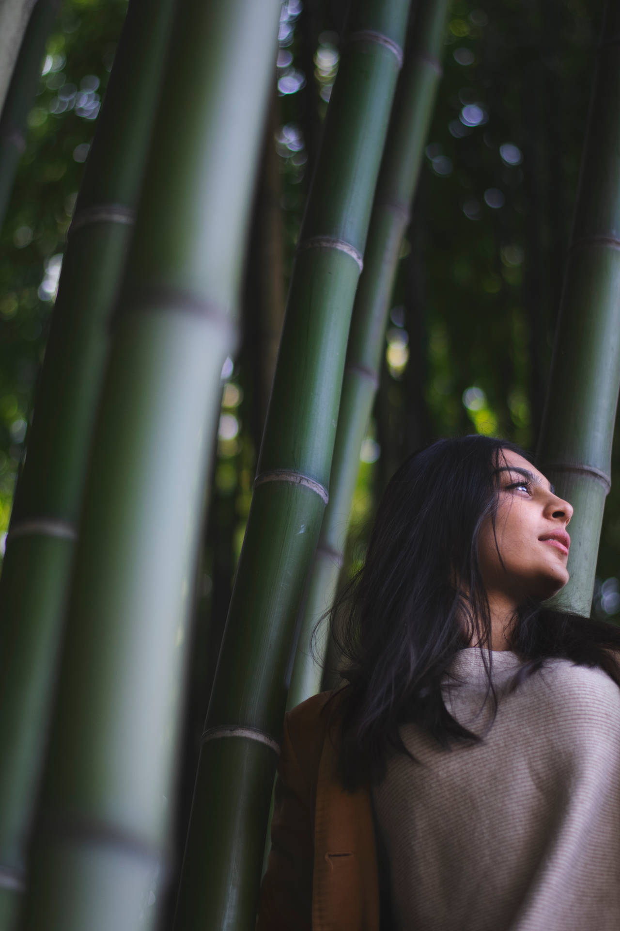Woman By The Bamboo Pole