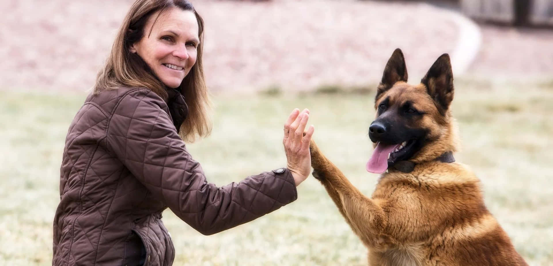 Vrouw Hond High Five Training Achtergrond