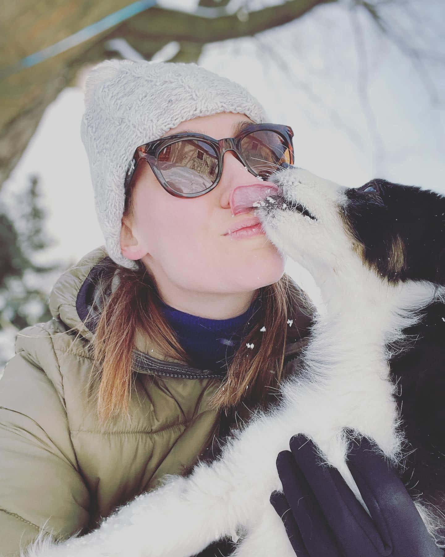 Woman Dog Kissin Snow Wallpaper