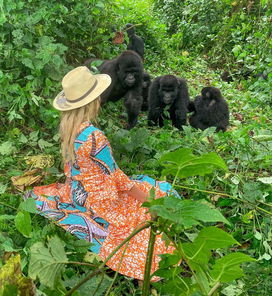 Vrouw Ontmoet Gorillas In Congo Achtergrond