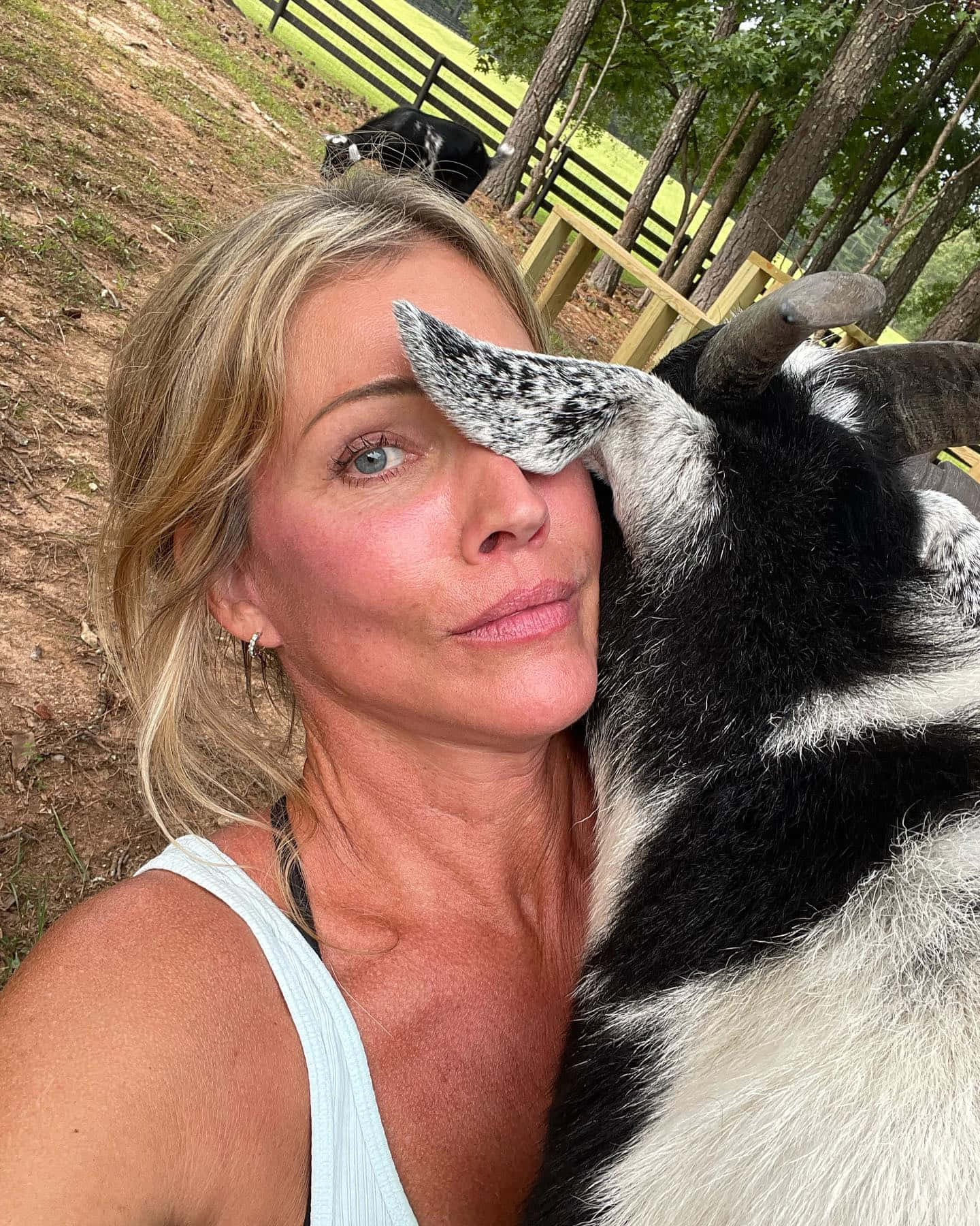 Woman Goat Selfie Affection Wallpaper