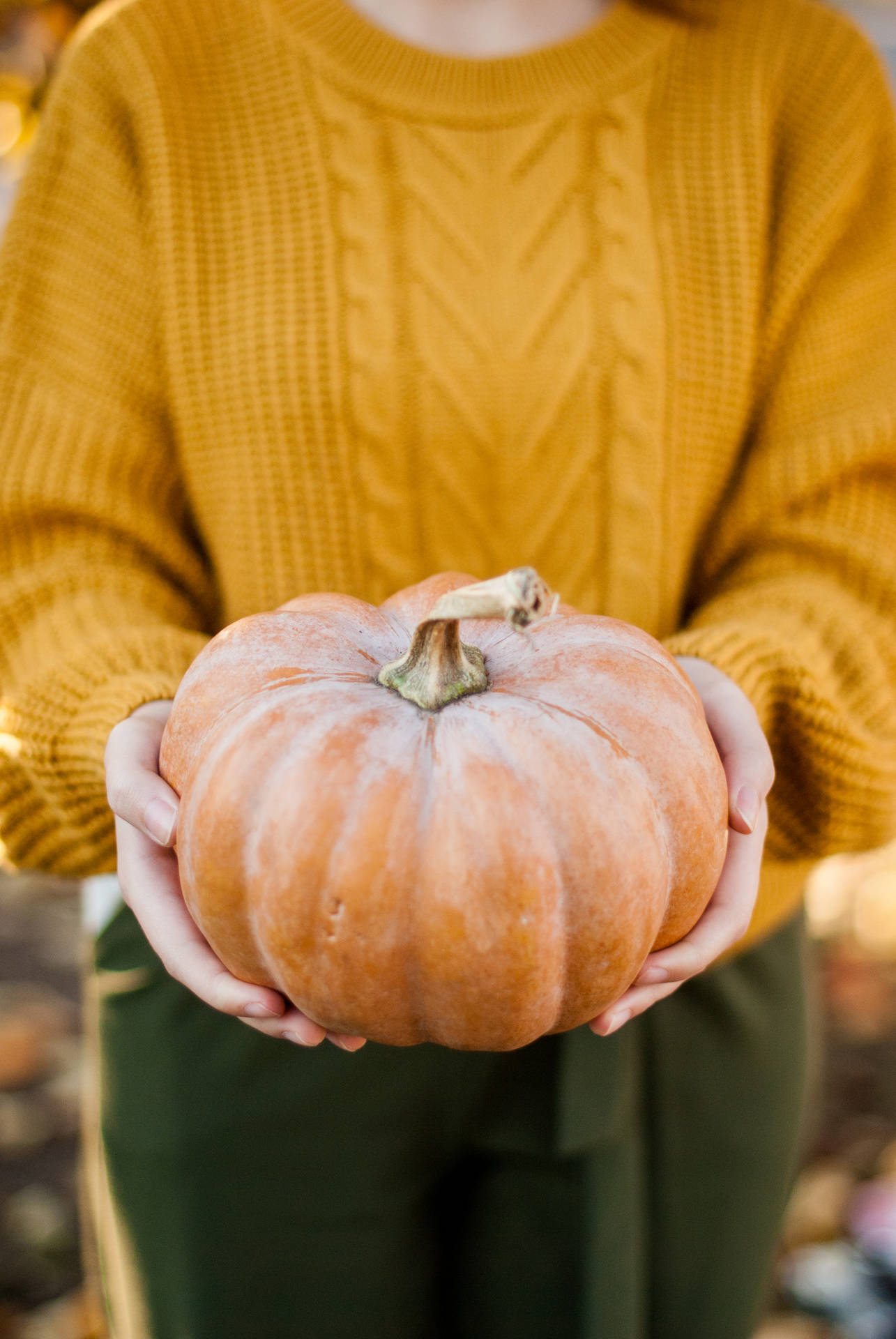 Woman Holds Pumpkin