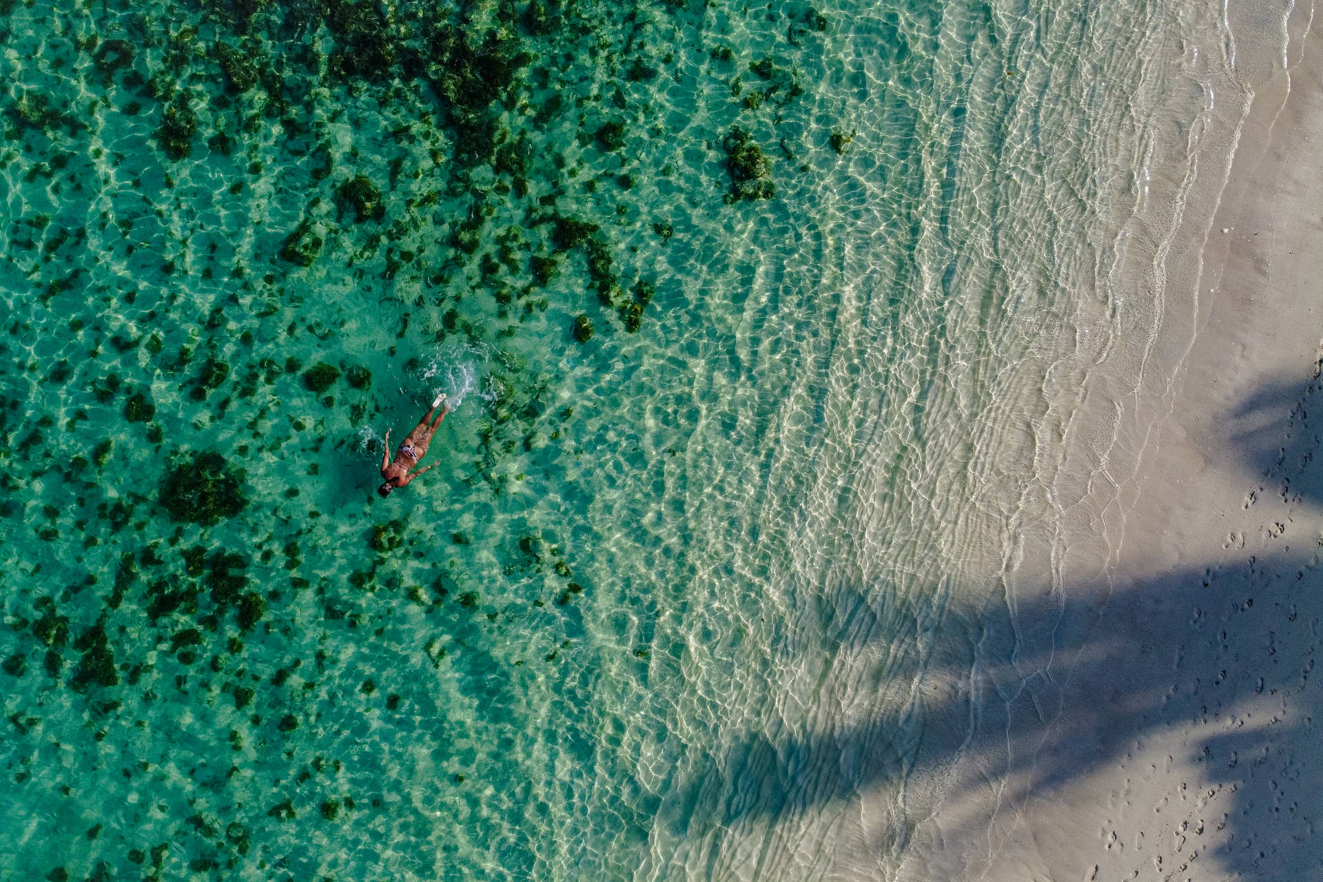 Kvinnai Mauritius Havet. (this Would Be A Caption For A Wallpaper Featuring A Woman In The Mauritius Sea.) Wallpaper