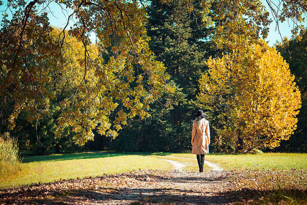 Woman In Park Beautiful Autumn Desktop Wallpaper