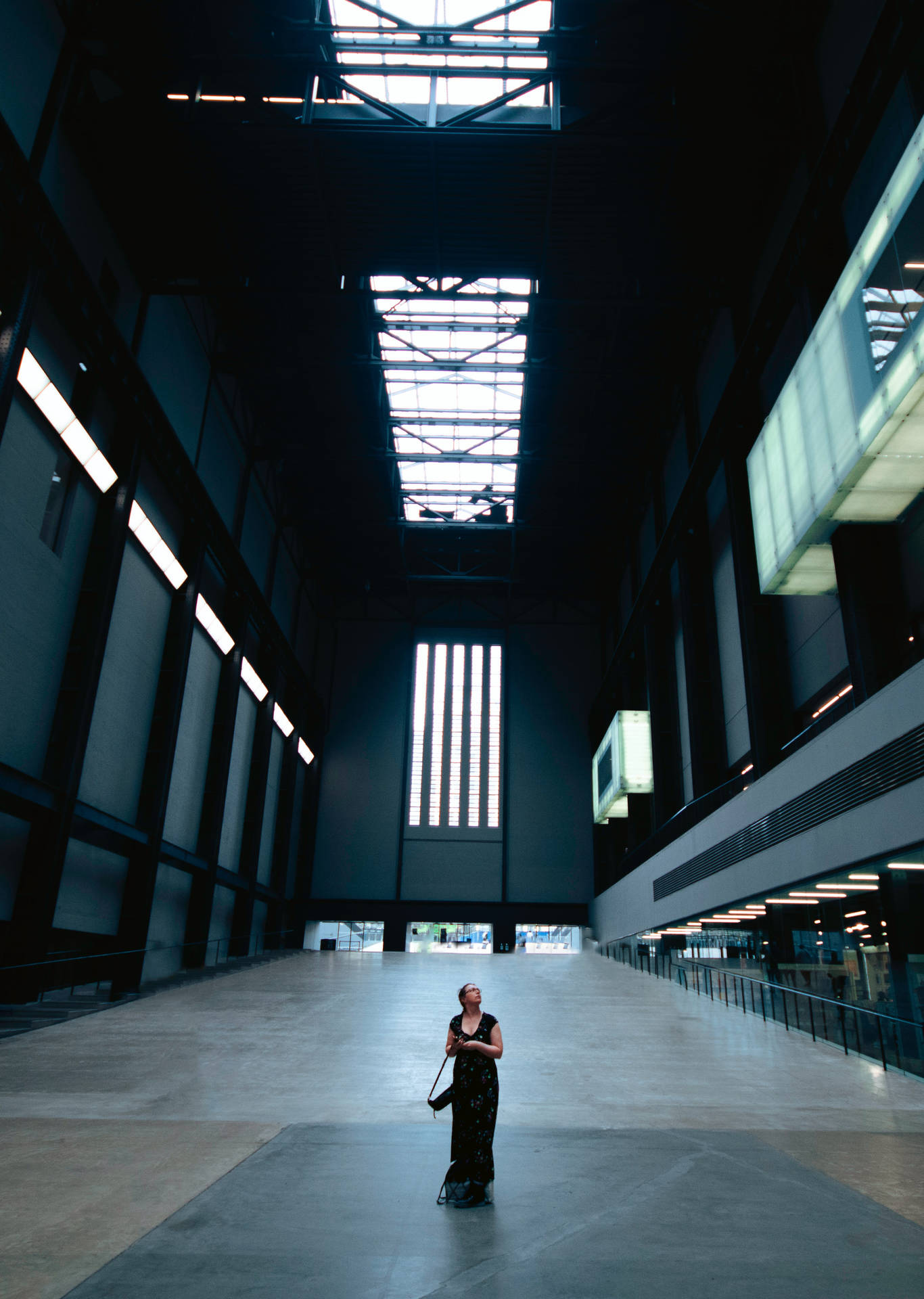 Woman In Turbine Hall Tate Modern Picture