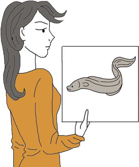 Woman Presenting Eel Illustration PNG
