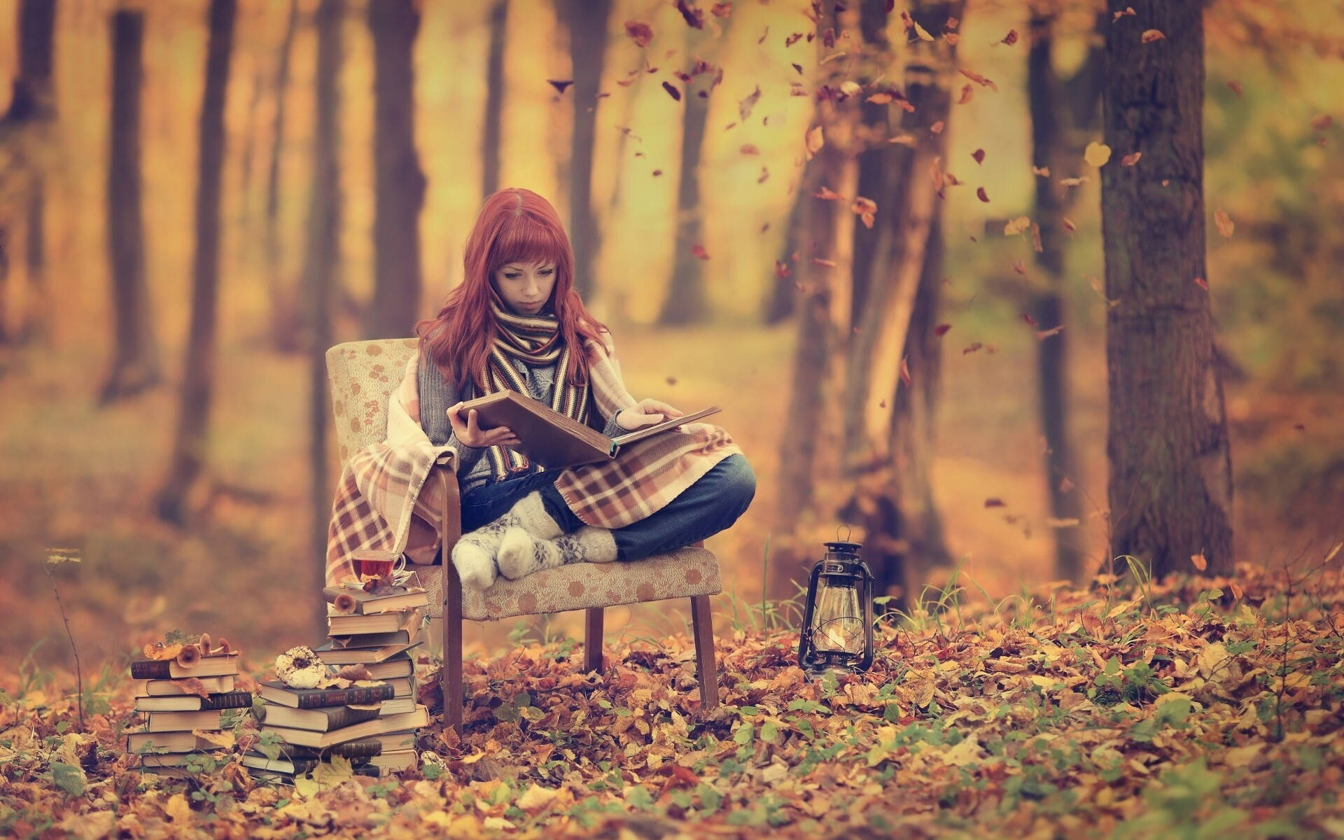 Kvinde Læsning I Efteråret Skov Wallpaper