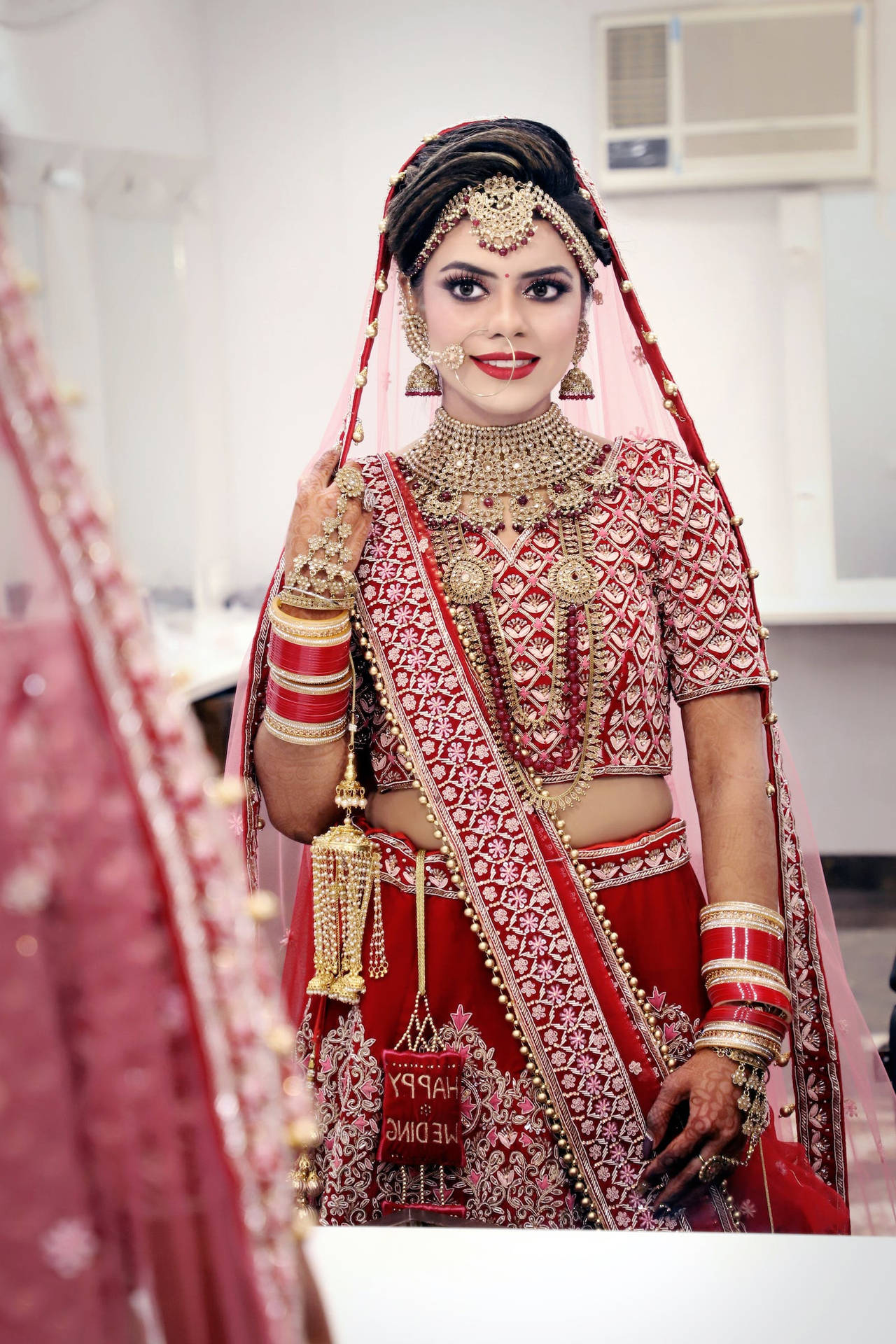 Woman Sari Dress Indian Wedding