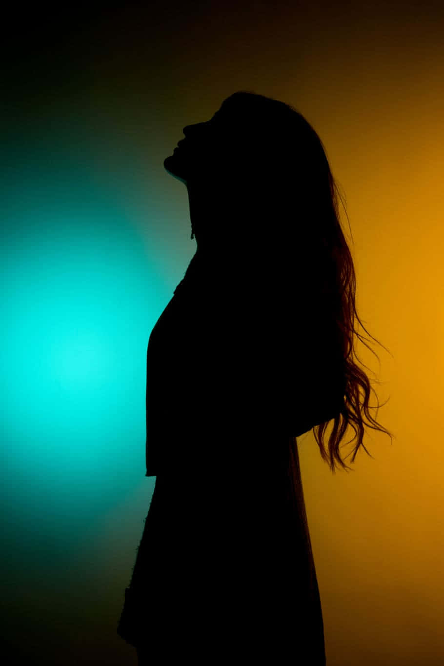 Woman Silhouette With Two Color Wallpaper