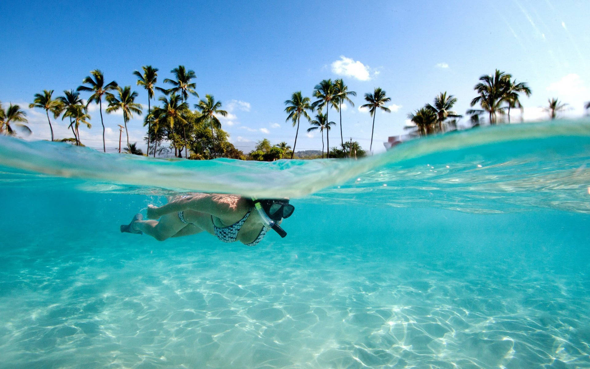 Woman Swimming In Water Tropical Desktop Wallpaper