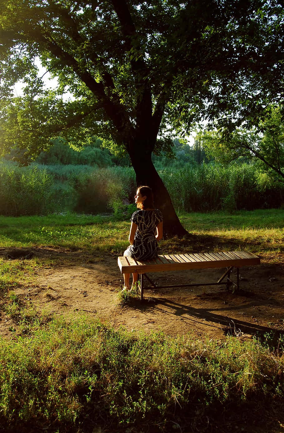 Woman Waiting For Her Partner Beside A Tree Wallpaper