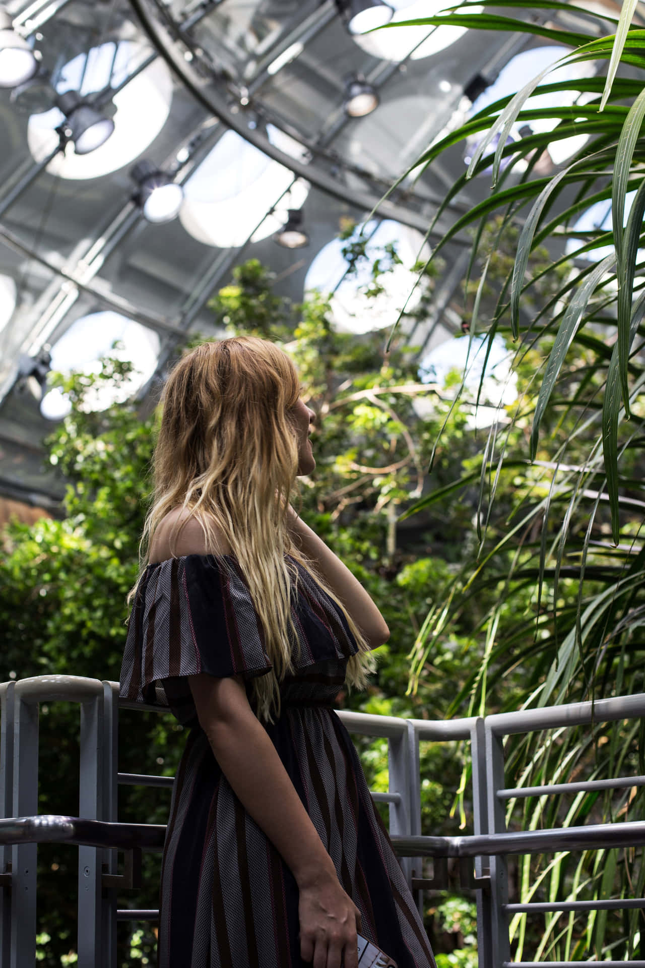 Femme Dans La Coupole De La Forêt Tropicale De L'académie Des Sciences De Californie Fond d'écran