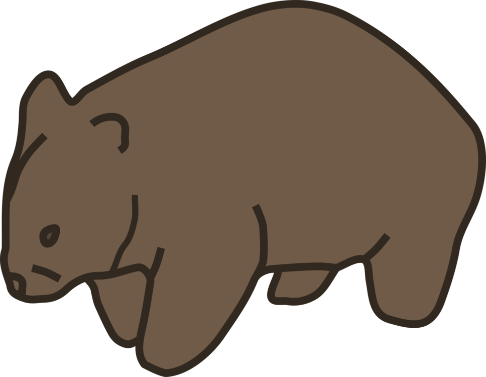 Wombat Cartoon Illustration PNG