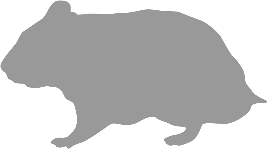 Wombat Silhouette Graphic PNG