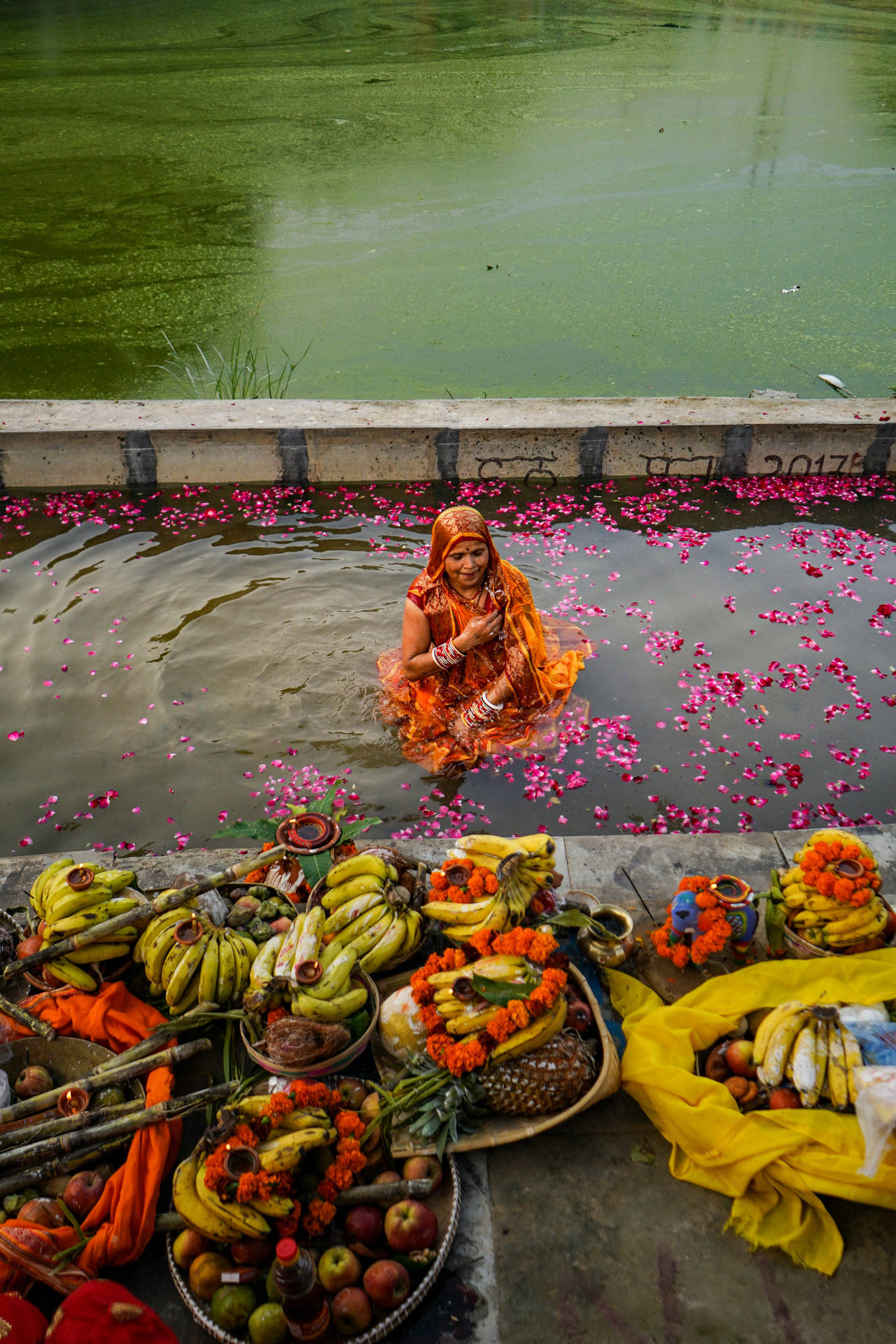 Mujeresen El Agua Con Pétalos De Flores En Chhath Puja Fondo de pantalla