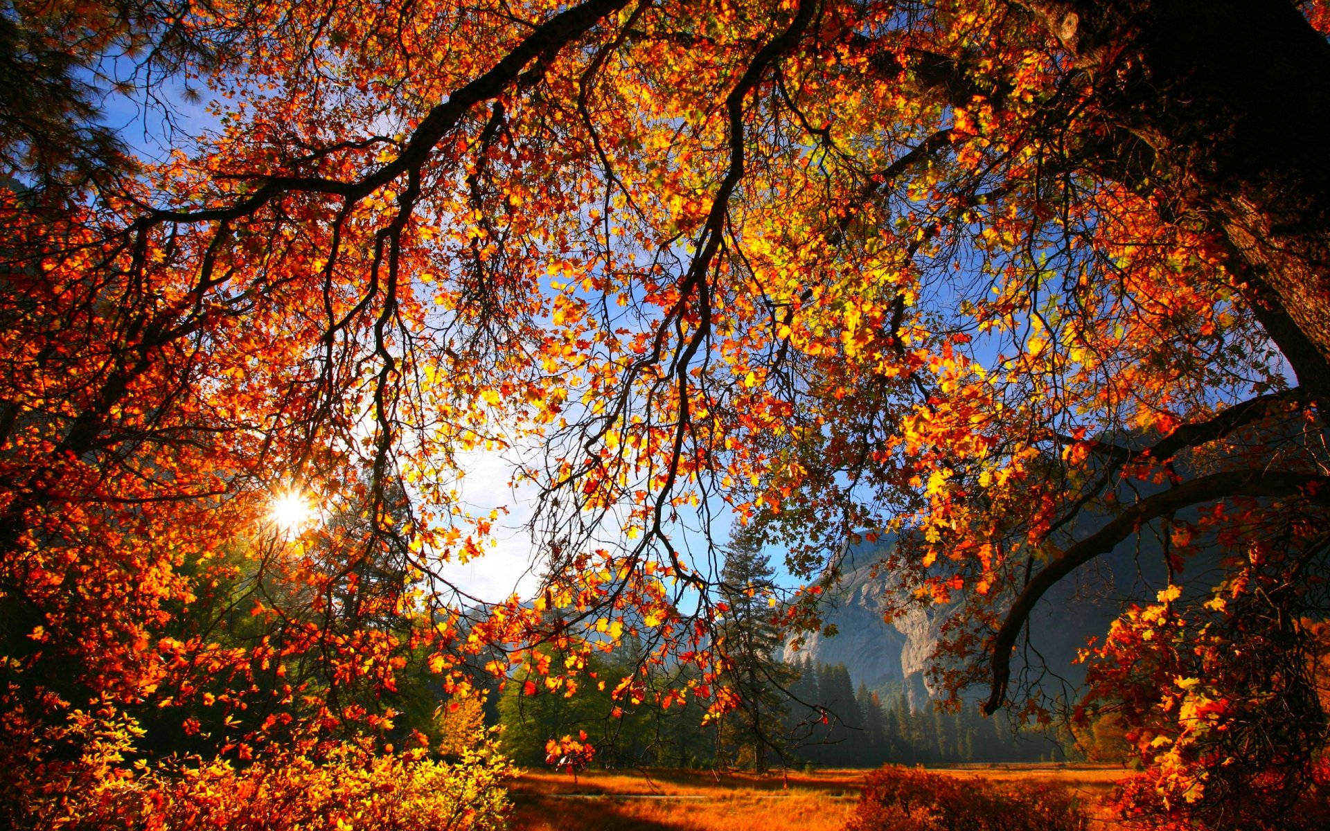 Wonderful Autumn Season Wallpaper