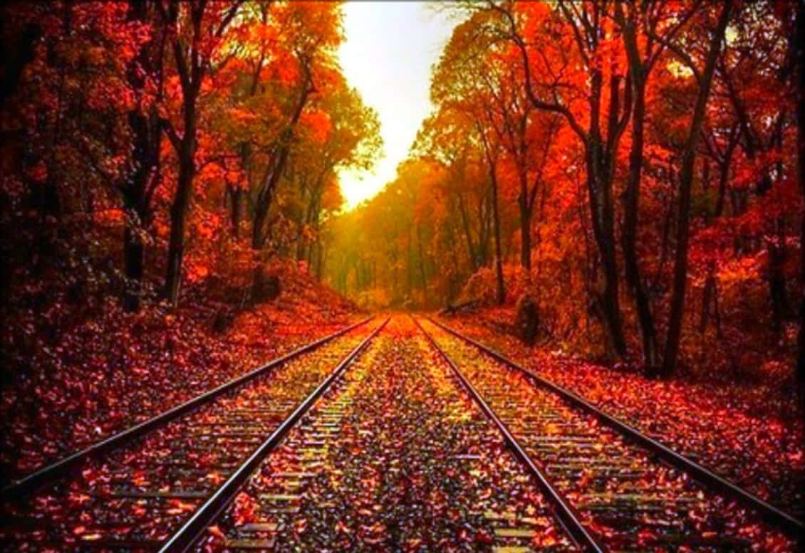 Wonderful Fall Season Wallpaper