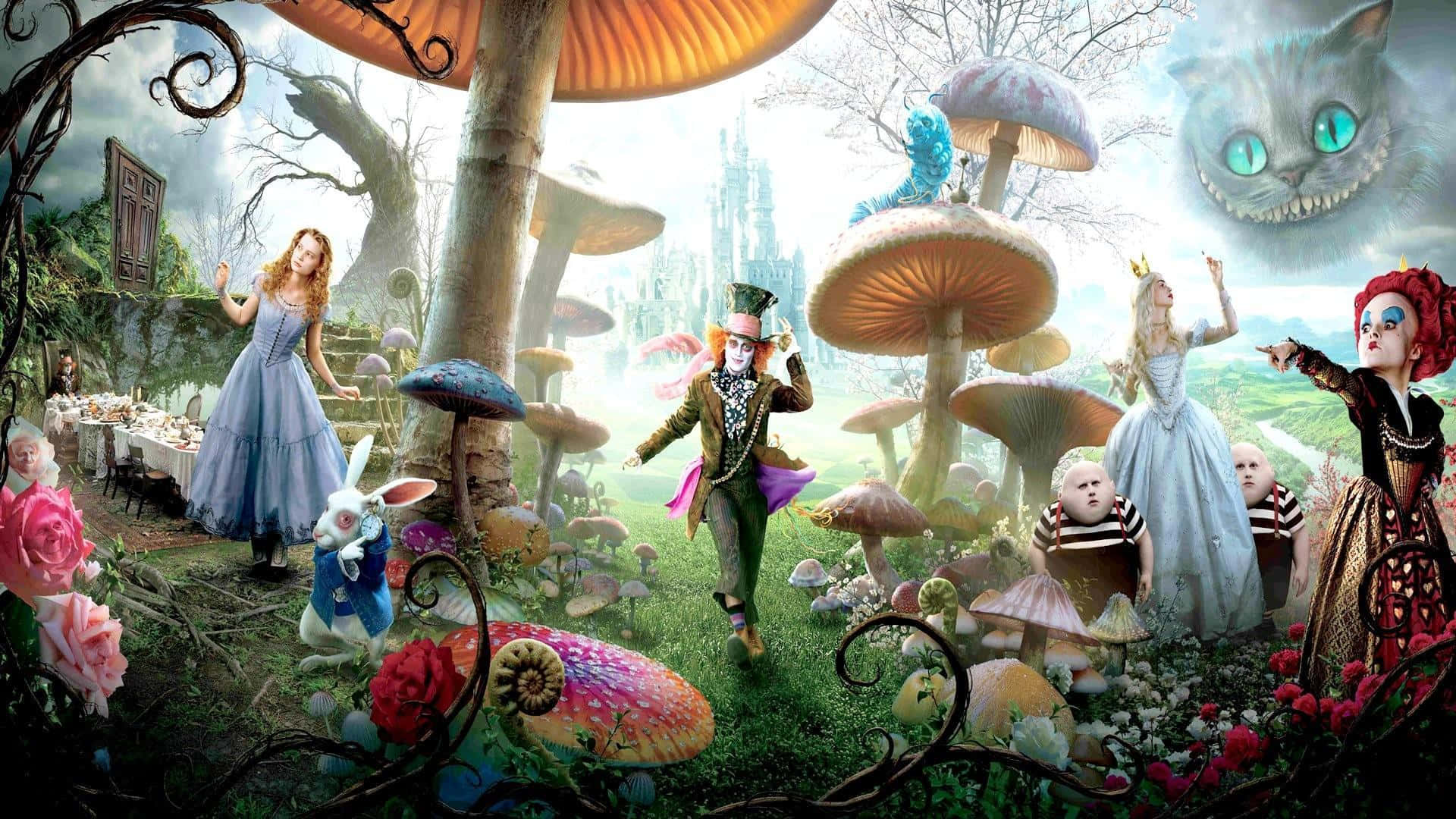 Welcome to Wonderland!