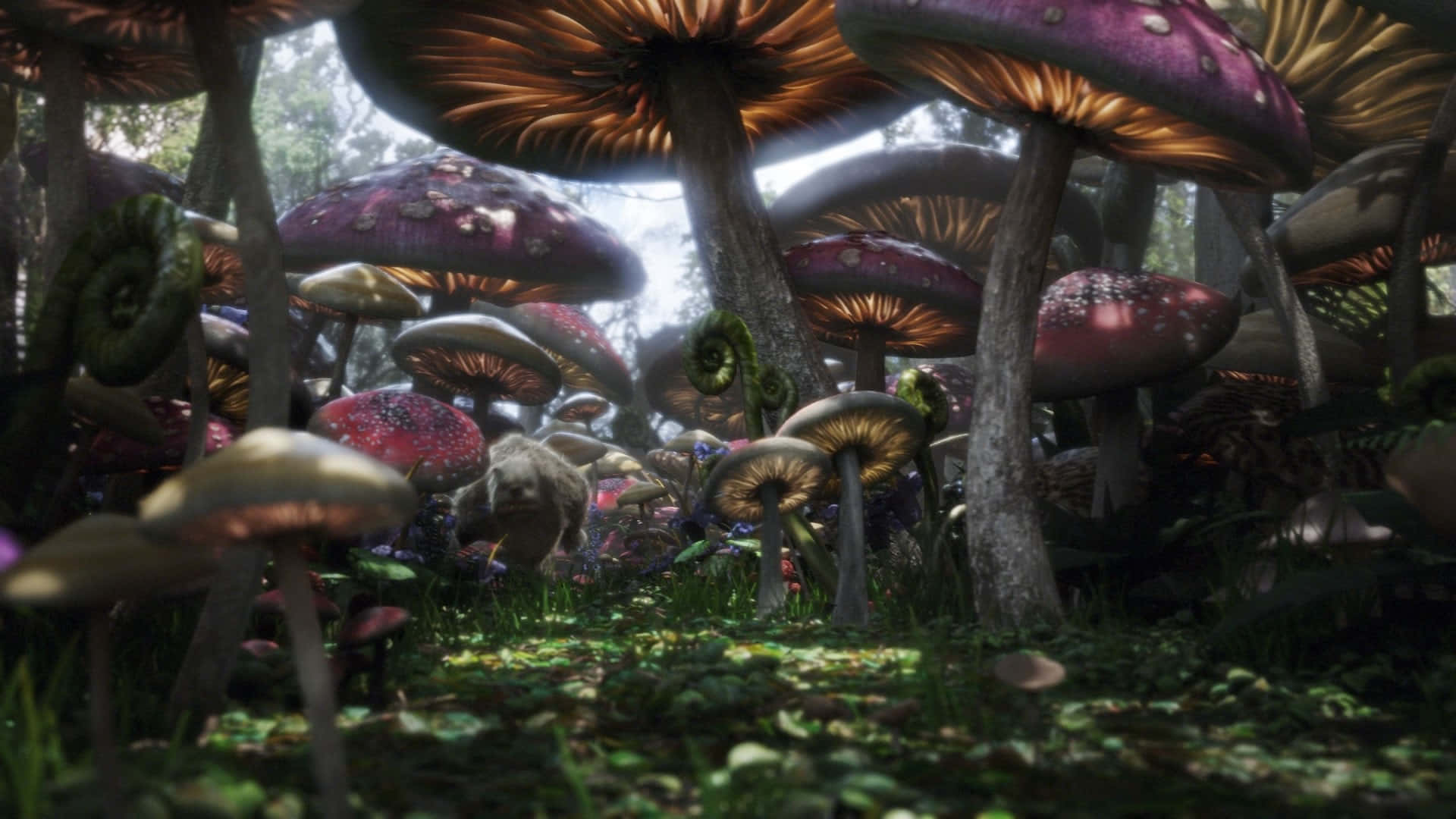 Unaforesta Piena Di Funghi In Un Ambiente 3d