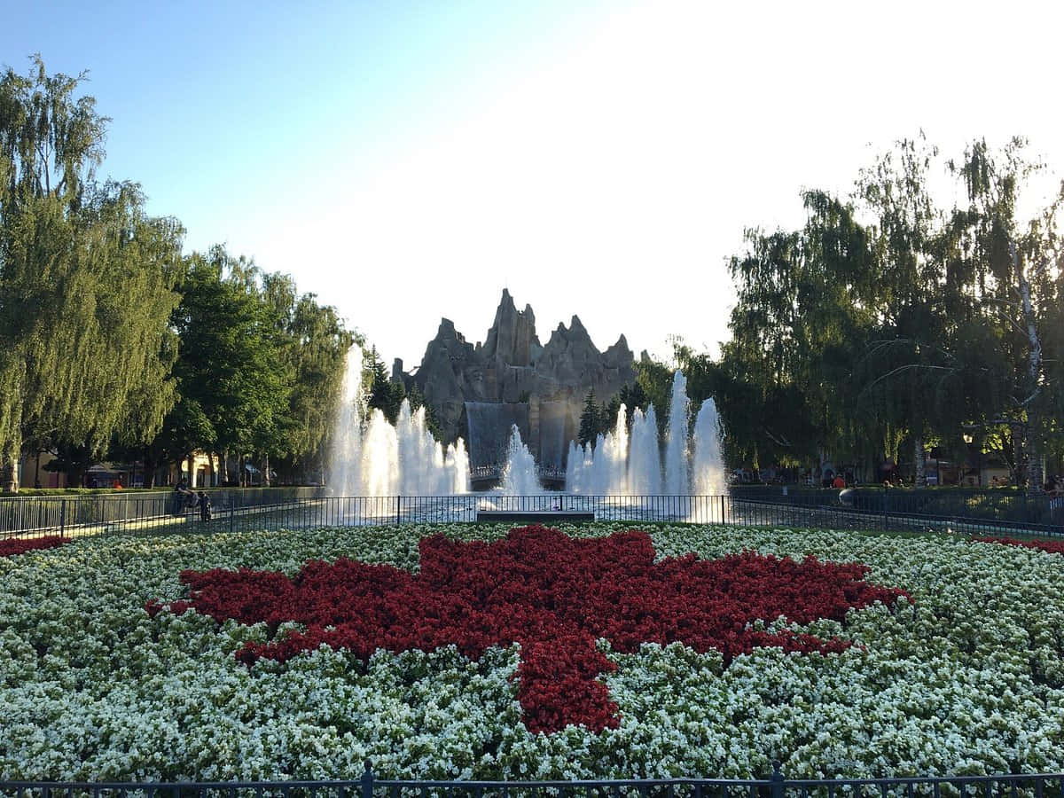 Wonderland Canada Blomsterflagg Fontene Bakgrunnsbildet