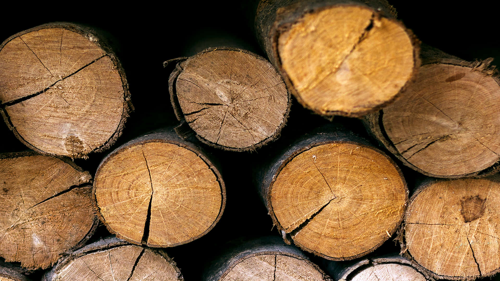 Wood 1920 X 1080 Background