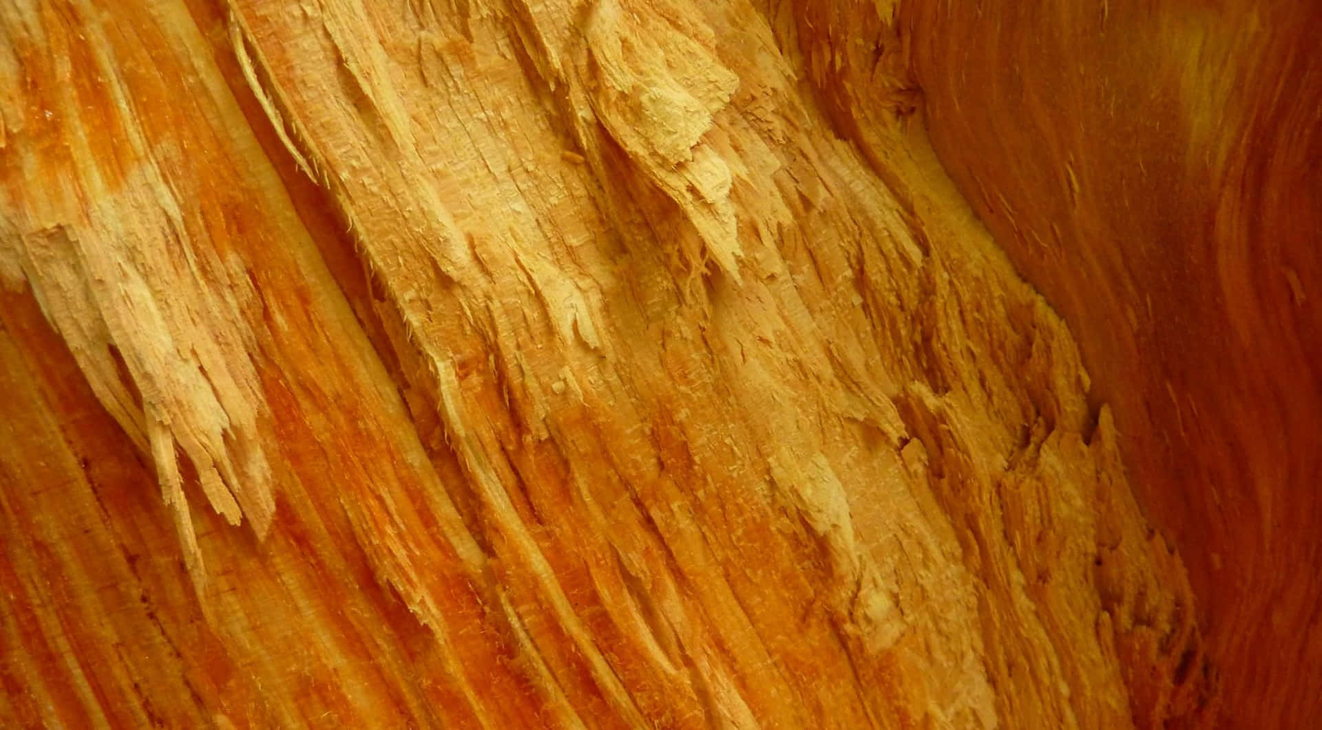 Orange Wood Bark Background