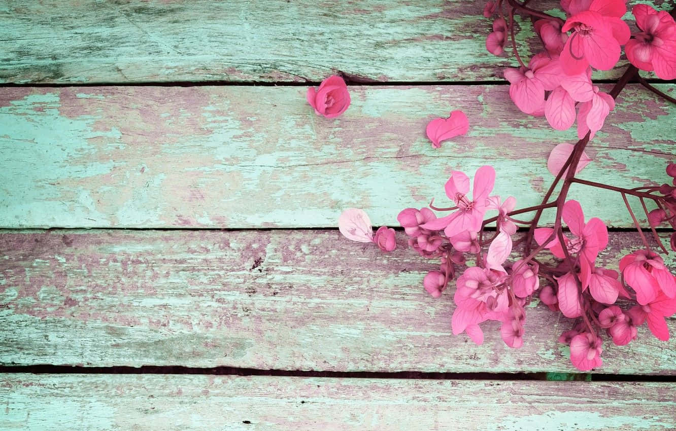 Wood Surface With Pink Flowers Background