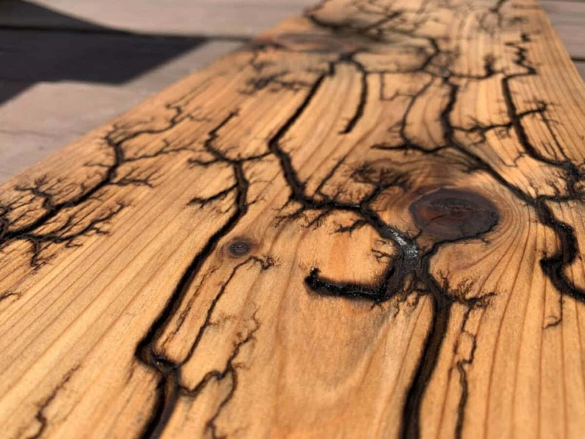 A Close Up Of A Wood Table With A Tree Trunk
