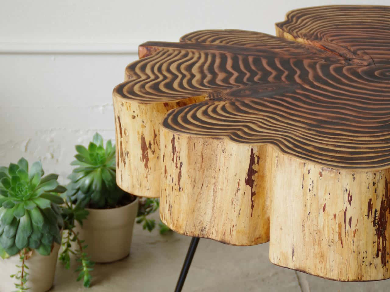 A Tree Stump Table With A Plant On It