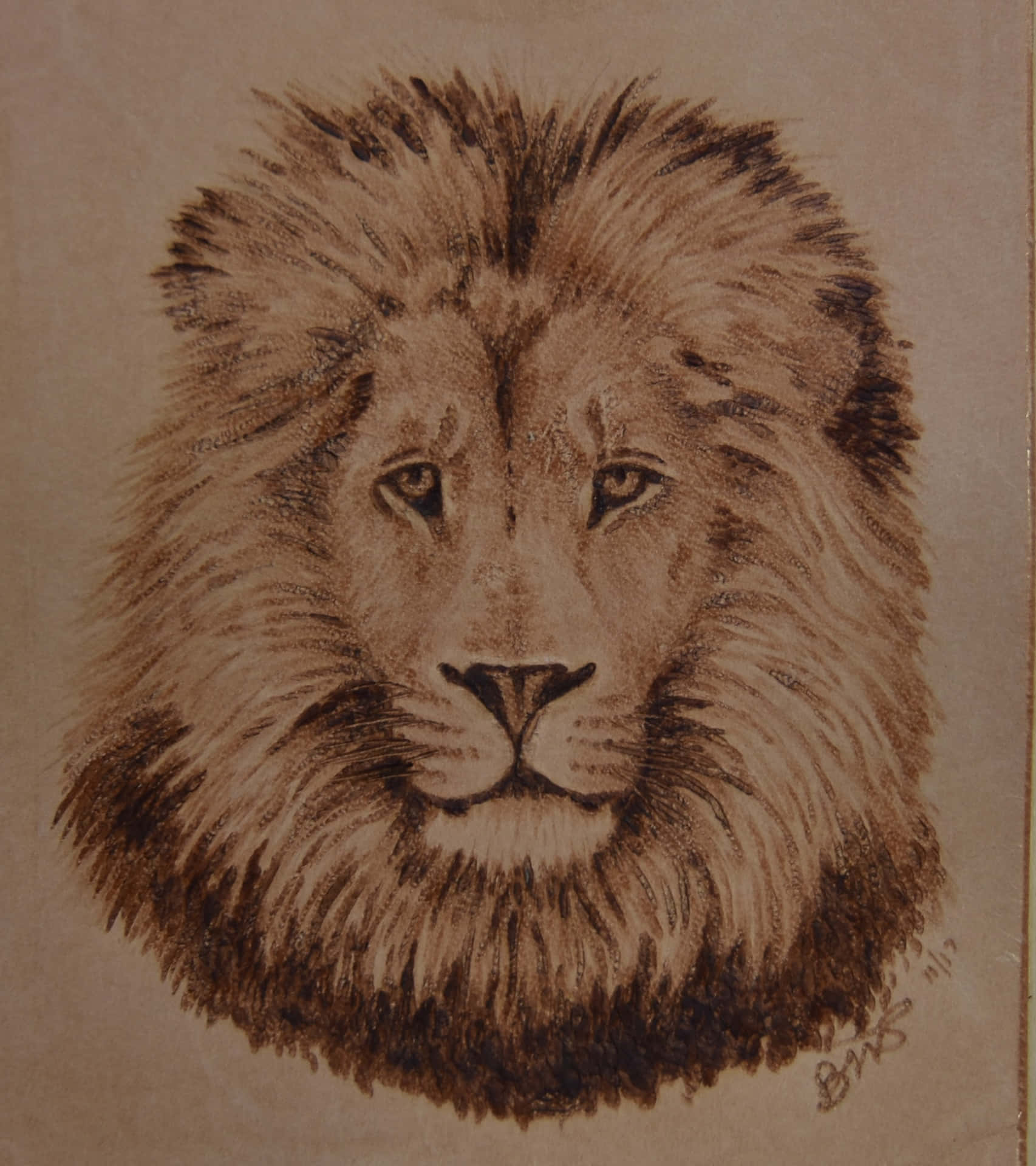 A Drawing Of A Lion On Brown Paper