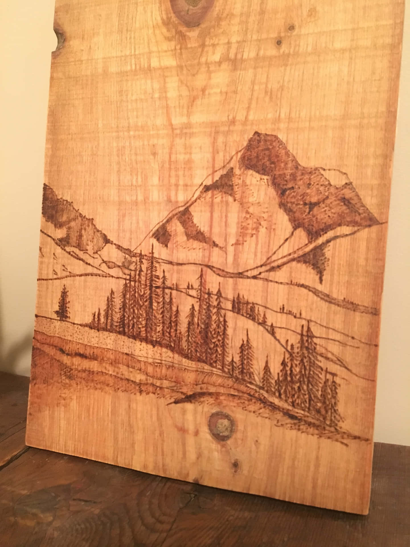 A Wood Carving Of A Mountain Scene