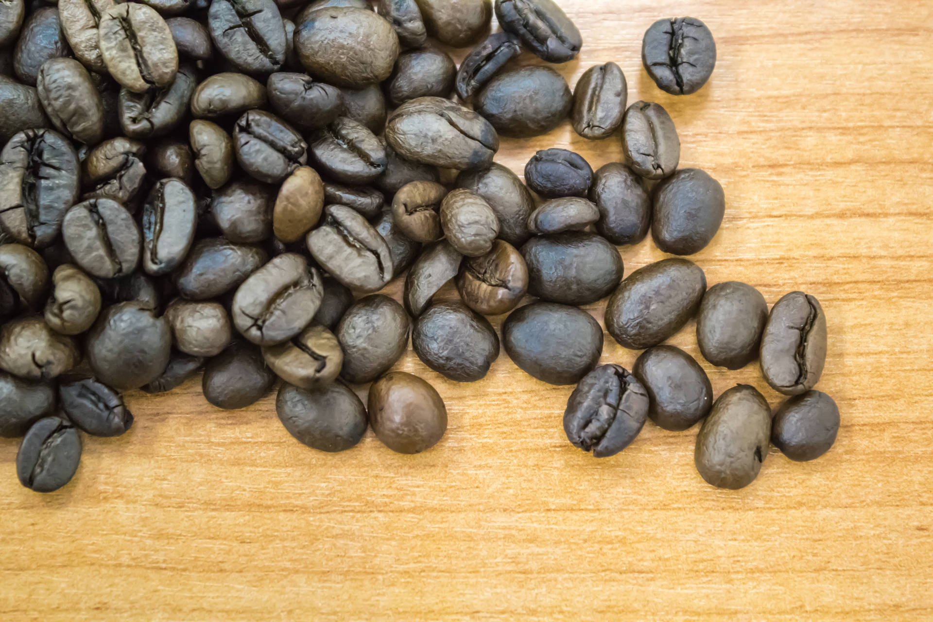 Fresh coffee beans ready for the coffee grinder Wallpaper