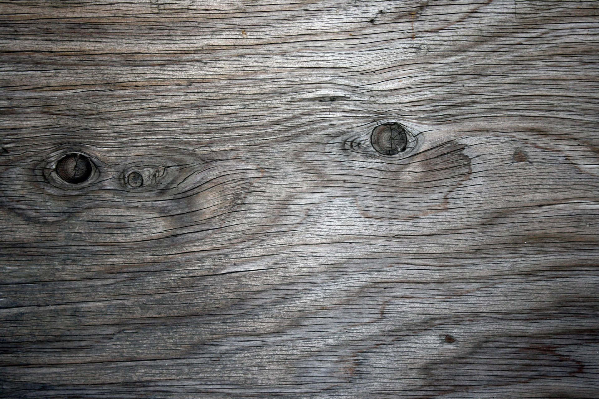 Wood Texture — Close Up