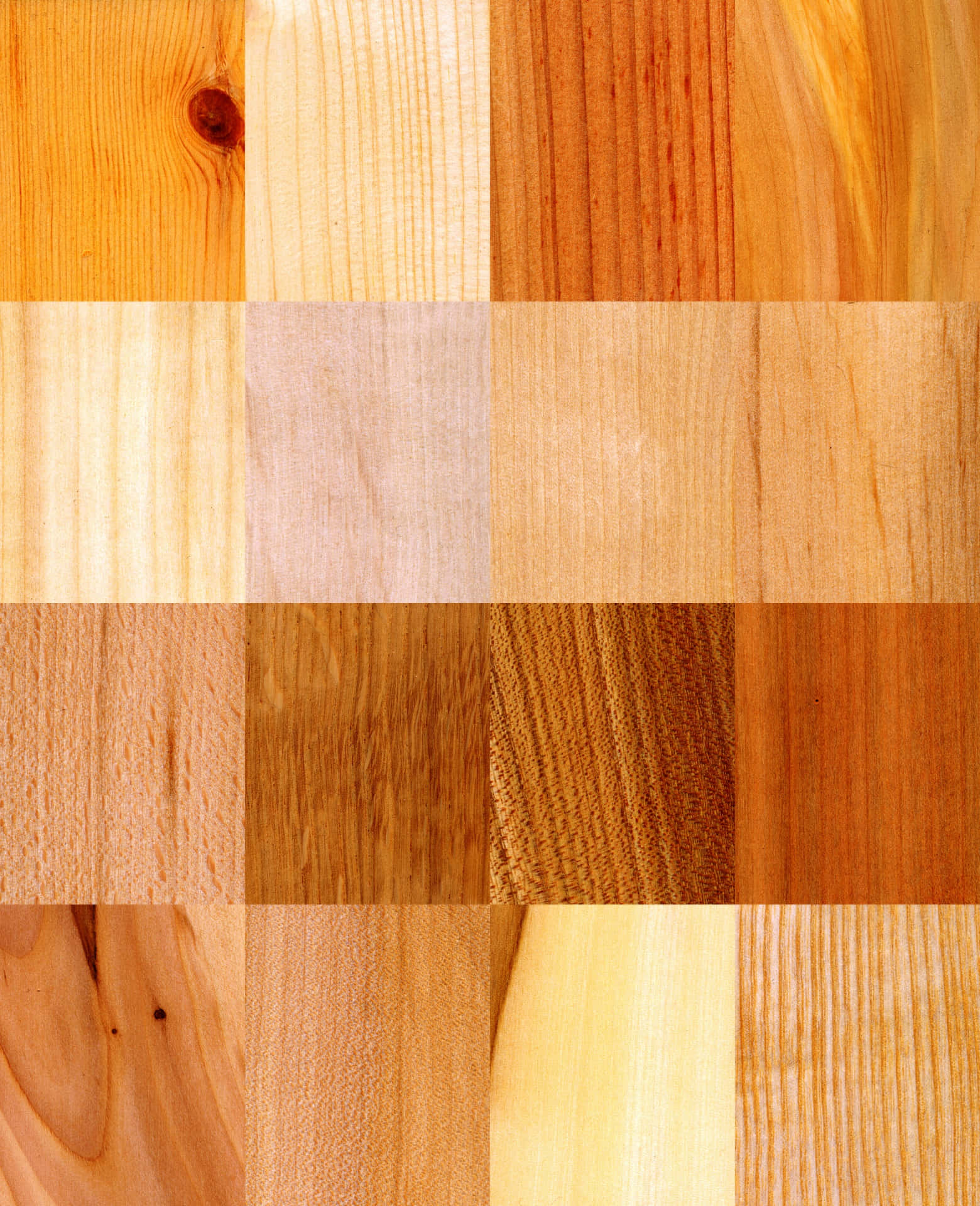 A Close Up Of A Variety Of Woods