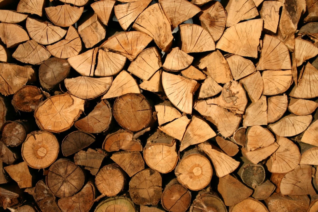 Einstapel Holz Ist Zu Einem Haufen Aufgeschichtet